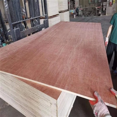 تخته سه لا تجاری Okoume Okoume Oak Pine Bintangor توس